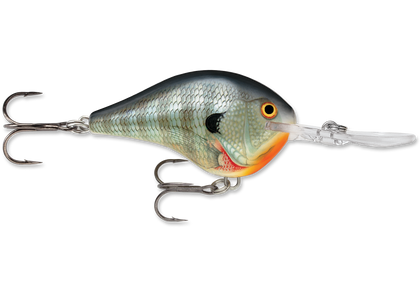 Fishing Bait and Lures