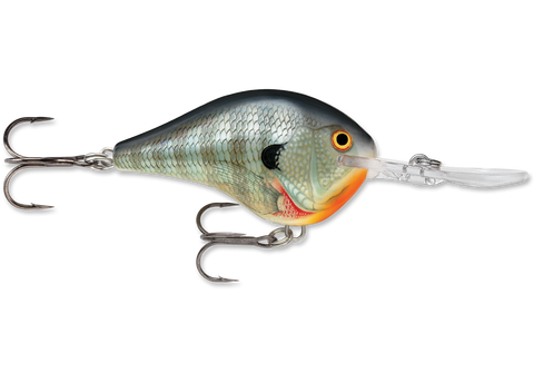 Fishing Bait and Lures