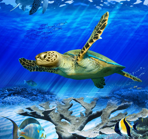 Down South Reef Sea Turtle