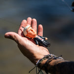 TRUMP TOPWATER FISHING LURE IN ACTION